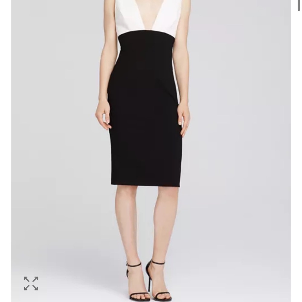 Alice + Olivia Black and White Esmira Dress